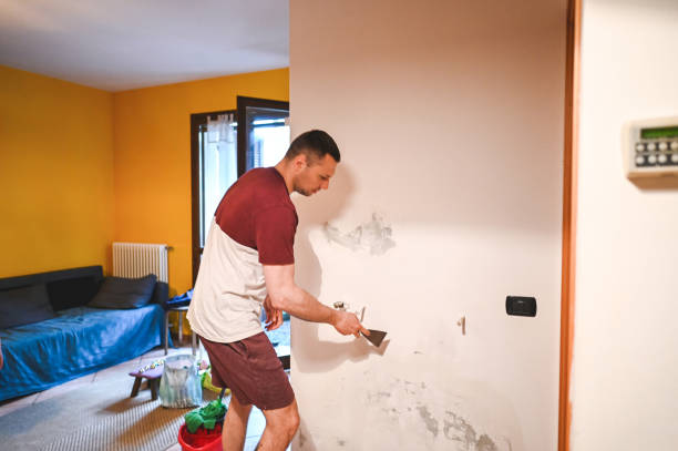 Best Insurance-Related Mold Remediation in Englewood, TN